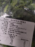 格沃斯（GEWOSI）速冻荠菜4斤冷冻新鲜野菜新鲜荠菜馅馄饨饺子馅450荠荠菜馅 4斤整颗荠菜（精选新菜） 实拍图