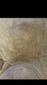 梦芭蒂（Moonbadi）内衣女无钢圈文胸大胸显小薄杯透气舒适上托收副乳蕾丝大码胸罩 肤色 85B 实拍图