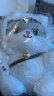 塔西袋熊可爱猫咪玩偶睡觉抱公仔床上小猫仿真礼物变身猫咪公仔毛绒玩具 礼袋装+变身兔兔喵-30厘米 实拍图