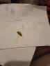 施恩德蟑螂超声波驱虫室内家用去驱防蚊虫苍蝇驱赶除电子驱虫器LL6 100㎡ 1个装 晒单实拍图