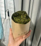 京华8号二级5窨茉莉花茶浓香型老北京特色花茶茶叶自饮口粮茶250g 实拍图
