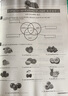 快乐西班牙语1 学生用书+练习册（青少版 套装共2册 附扫码音频） 实拍图