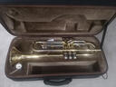 星海（XINGHAI INSTRUMENT）降b调小号乐器 XT-100/120学生考级儿童初学入门款学校乐队通用 升级XT-120型-白铜变音管 实拍图