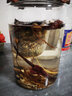 麦欧力（MYONLY）泡酒容器高档泡酒专用玻璃瓶装酒缸存酒坛子密封酒桶储药酒罐空瓶 16斤无龙头无架8L 实拍图