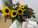 悦多彩优质水养鲜切花 母亲节三八节花束 昆明基地现采直发顺丰生活鲜花 百合2头5支+混色小菊5支 实拍图