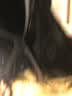 东之天地 发网隐形假发网套两头通一头通高弹力假发套网头套网纱帽假发 支架【黑色】 实拍图