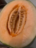 雅聪新疆吐鲁番哈密瓜西州密瓜网纹甜瓜应季生鲜水果 1-2个【3-4斤】 实拍图