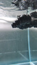 森森（SUNSUN）鱼缸冲浪泵水族箱造浪泵横流造流泵 JVP-402A 48w适合1.5米以上 实拍图