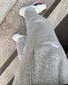 耐克（NIKE） 男子法式毛圈长裤  SPORTSWEAR CLUB BV2714-063 M 实拍图