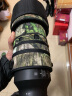 适马（SIGMA）150-600mm F5-6.3 DG DN OS ｜Sports 全画幅无反 超远摄变焦镜头  打鸟拍荷花（索尼卡口） 实拍图