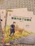 老狼警长探案记：儿童思维力启蒙与情商培养故事绘本   实拍图