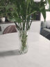 弗莱文茨简约透明玻璃花瓶水培富贵竹百合水养花器插花瓶家用客厅桌面摆件 百财花瓶25cm（透明） 实拍图