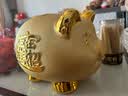 礼之源 大号招财金猪储蓄罐萌猪存钱罐生日礼物创意礼品摆件送儿童 DC金猪储蓄罐16寸 实拍图