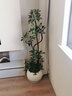 临雅鸭脚木客厅大盆栽室内阳台造型绿植物鸭掌木鹅掌财落地式大型摆件 造型鸭脚木1.4-1.6米+智能吸水盆 实拍图