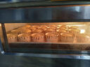 乐创（lecon）商用烤箱一层一盘电脑款电烤箱 大型大容量蛋糕月饼披萨电热烤箱 YWD-101Z 晒单实拍图