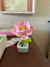 儿童拼装花束仿真积木花朵盆栽diy拼装颗粒摆件玩具兼容生日礼物 粉芙蓉 实拍图