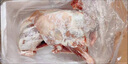 咏华春【官方严选】全羊内蒙古草原散养羔羊肉羊腿整羊后腿肉烤全羊团购 全羊20斤（送礼优选） 实拍图