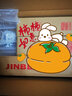 金贝（JINBEI） 柔光纸 摄影硫酸纸 拍摄牛油纸 影棚拍照拍摄道具 整卷可裁切 单张（1.2M x 0.9M） 实拍图