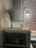 长帝（changdi）家用多功能电烤箱42升大容量 独立控温 搪瓷内胆智能菜单热风循环旋转烤叉 猫小易 晒单实拍图