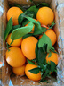 趣觅鲜奉节脐橙重庆纽荷尔脐橙子新鲜水果甜鲜福本橙子礼盒装 9斤装小果26-30个 实拍图