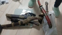 拙匠龙泉市扶风短刀唐横刀合金装具锻打一体刀剑防身收藏冷兵器未开刃 扶风 实拍图