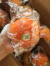 新奇士（Sunkist）橙子美国3107进口黑标橙子当季脐橙大果礼盒装 礼盒装 4000g【单果200g+】 实拍图