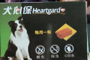 犬心保（HEARTGARD）狗狗驱虫药体内驱蛔虫钩虫预防心丝虫  中型犬 11-22KG M号 【单粒装】 实拍图