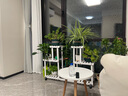 华观家居（Home Giving Furniture）多层实木花架阳台置物架室内花架子客厅落地式多肉绿萝花盆植物架 C款白色带轮 实拍图