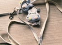 华元宠具（hoopet）猫咪牵引绳防挣脱外出专用遛猫绳子溜猫链子宠物胸背带可调节背心 梦幻小熊-工字防挣脱 中号-建议体重5-7斤内 实拍图