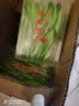 映香 【120袋 绿茶 酒店茶楼网吧】2026新茶独立小袋包装绿毛峰茶480g 普通场所（推荐） 120袋×4g/袋 实拍图