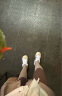 adidas「面包鞋」PUFFYLETTE经典运动棉鞋男女阿迪达斯官方三叶草 白/黑/米黄 40.5 实拍图
