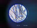 Kenko日本进口STV120M便携显微镜体视带灯鉴定用儿童科学启蒙六一礼物 STV-120M （不含拍照夹） 实拍图