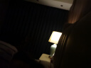 繁登堡（fandengbao）北欧陶瓷台灯卧室床头灯美式轻奢创意客厅台灯温馨书房床头柜灯 EA2129小号-约60CM高-全铜底座 调光开关 实拍图