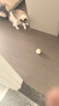 灵宠物语猫玩具逗猫球猫咪玩具自嗨解闷磨牙发声逗猫玩具特大剑麻球 实拍图