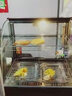 嘻嘻御姐食品保温柜商用加热箱展示柜蛋挞小型台式新款食品板栗汉堡展示柜 黑弧小两盘3层 官方标配 实拍图