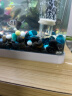 鱼之宝（Fish treasure）鱼缸水族箱金鱼缸生态鱼缸过滤器玻璃鱼缸懒人家用客厅彩灯鱼缸 M460 晒单实拍图