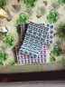淞洲馨家用麻将牌中号大号中档家用手搓麻将送麻将布机器麻将+色子 48号中档机器麻将108张筒条万+布 实拍图