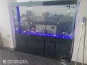 江彩鱼缸客厅大型水族箱落地隔断墙家用办公室底过滤超白玻璃鱼缸定制 1.8米加高（180x40x165cm） 实拍图