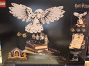 乐高（LEGO）积木哈利波特海德薇猫头鹰拼装玩具礼物76391霍格沃茨经典藏品 实拍图