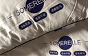 安睡宝（SOMERELLE）全棉酒店枕头三防护颈枕睡眠颈椎病深度睡眠专用儿童低枕芯一对装 实拍图