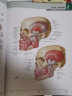 【专业可选】奈特人体解剖学彩色图谱 第八版8版 人体解剖色彩图谱全彩解剖图谱局部解剖骨骼结构书系统格式解剖神经解剖教材法医解刨实用内科学书籍人民卫生出版社 奈特人体解剖学图谱第8版 实拍图