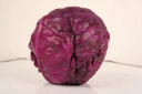 美邻惠享家京地达山东新鲜紫甘蓝紫包菜球5斤装轻食沙拉蔬菜 实拍图