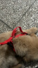 派乐特 狗绳3件套牵引绳M号宠物狗狗项圈胸背带遛小型犬泰迪链子用品 实拍图