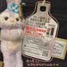 MYD双肩包女户外小背包帆布包逛街出游旅行小清新简约小容量书包 （S）黑莓  实拍图