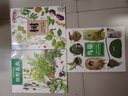 自然科学绘本系列 鸟（套装共3册）让孩子爱上自然的科普绘本 蒲蒲兰绘本 实拍图