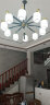 圣伦希尔（SELLEN HILL）现代新中式吊灯全铜客厅主灯大气家用餐厅卧室餐厅简约中国风套餐 铁艺10头-三色变光 晒单实拍图