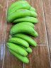 左格云南高山大香蕉10斤当季新鲜水果青蕉自行催熟薄皮大香蕉整箱 大香蕉 5斤 精选装 晒单实拍图