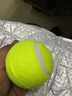 狗狗玩具球自嗨解闷神器宠物边牧金毛柯基耐咬球训练磨牙网球橡胶 绿色1个 全适用 实拍图