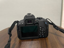 佳能（Canon）EOS 750D 760D 800D 850D 77D 二手单反相机高清数码照相机 99新 800D EF 18-55mm STM 标配【无内存卡等配件，套餐更划算】 99新 实拍图