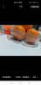 彩致（CAIZHI）水果盘客厅零食盘轻奢风收纳糖果坚果干果盘 香槟色CZ6854 实拍图